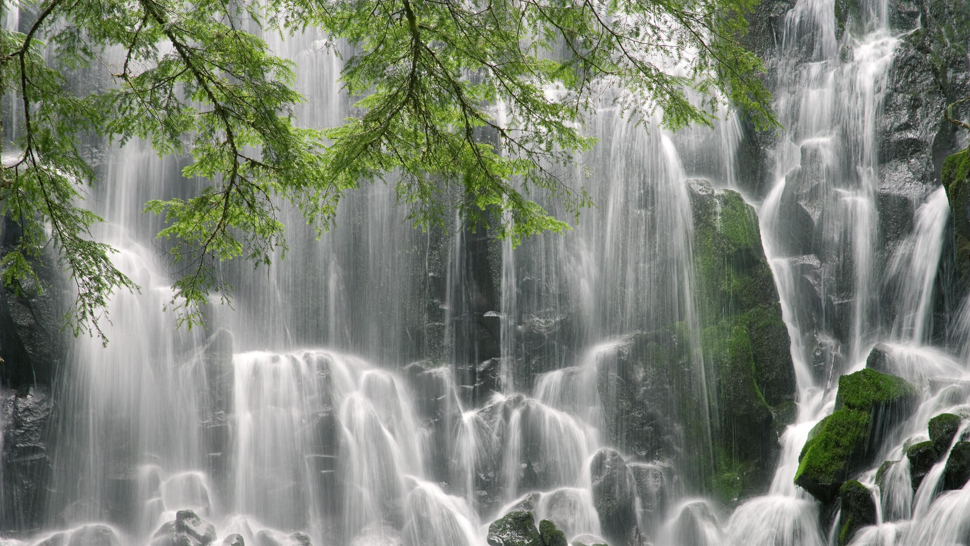 泰法<a href=https://www.tgqjwang.com/ target=_blank class=infotextkey>情降</a>